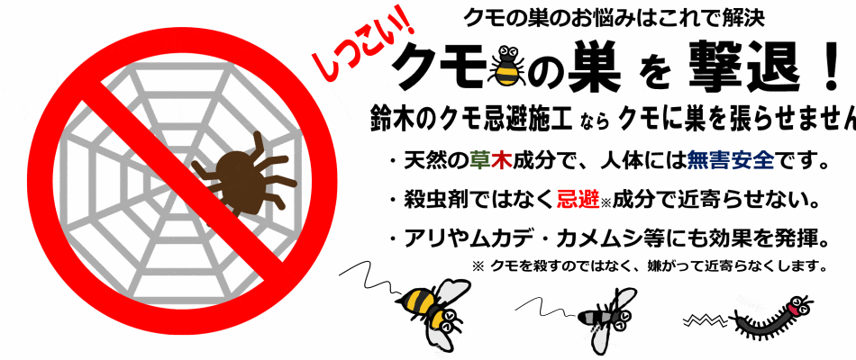 しつこいクモの巣を撃退！クモを寄せ付けないクモ忌避施工。